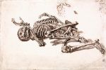 Picture of A Human Skeleton - James Ward (English, 1769-1859)