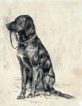 Picture of Aldrich’s Dog (late 1880s) - Arthur Bowen Davies (American, 1862 - 1928)