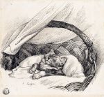 Picture of Cat Asleep in Basket - Auguste Andre Lançon (French, 1836-1887)