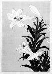 Picture of Lilies (1900 - 1930) - Ohara Koson (Japanese, 1877-1945)