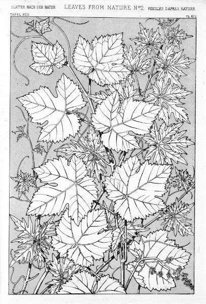 Picture of Leaves from Nature No.2 (1856) - Owen Jones (English, 1809 - 1874)