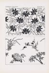 Picture of Outlines of ornament in the leading styles Pl.15 (1881) - George Ashdown Audsley (Scottish, 1838-1925)