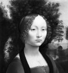 Picture of Ginevra de’ Benci (obverse) (c. 1474-1478) - Leonardo da Vinci (Italian, 1452-1519)