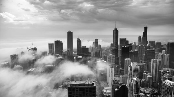 Picture of Chicago Skyline