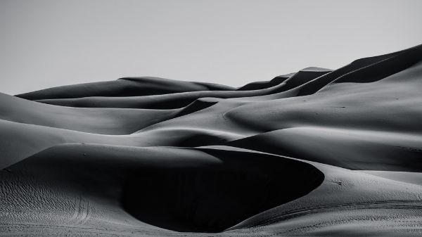 Picture of Sand dunes in the Liwa desert ,abu dhabi , united arab emirates