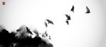 Picture of Black flying birds and big black splash