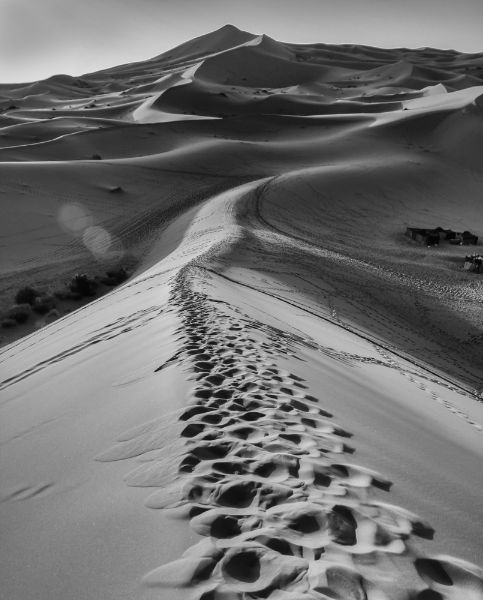 Picture of Footprints in the Sahara