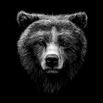 Picture of Monochrome portrait of a brown bear looking ahead against a black background