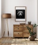 Picture of Monochrome portrait of a brown bear looking ahead against a black background