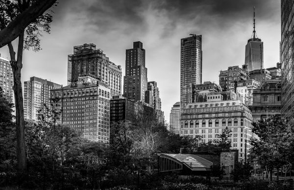 Picture of NYC landscape