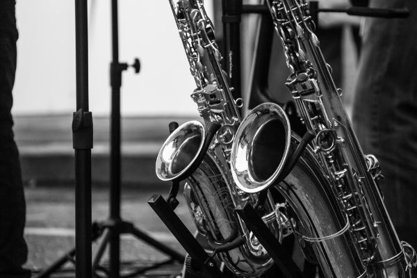 Picture of Saxes black and white