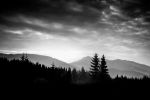 Picture of Monochrome mountain landscape with trees