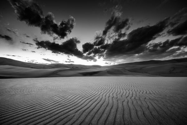 Picture of Desert Landscape