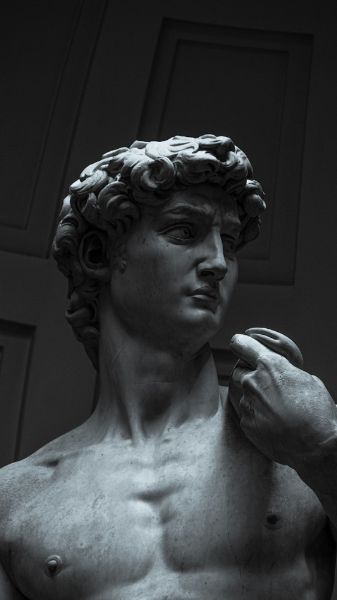 Picture of Detail from the statue of David