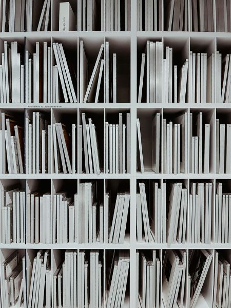 Picture of Minimalist book shelves