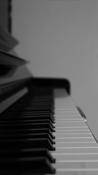 Picture of Piano keyboard