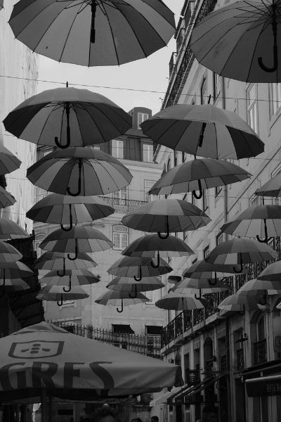 Picture of Pink Street, Rua Nova do Carvalho, Lisbon, Portugal