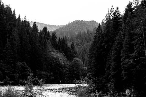 Picture of Romanian mountain scenery with river